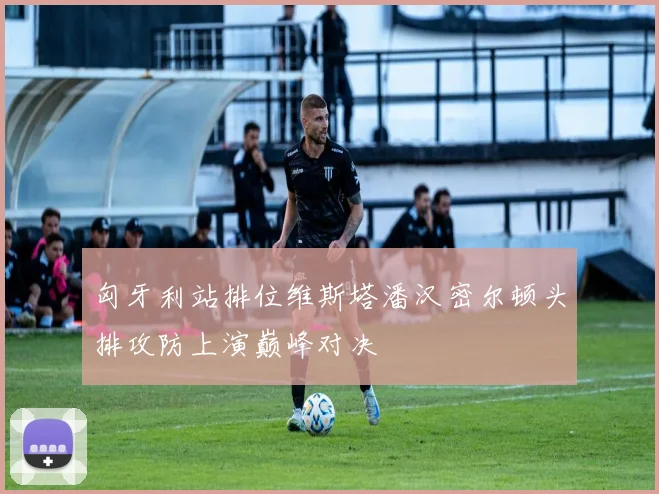 匈牙利站排位维斯塔潘汉密尔顿头排攻防上演巅峰对决
