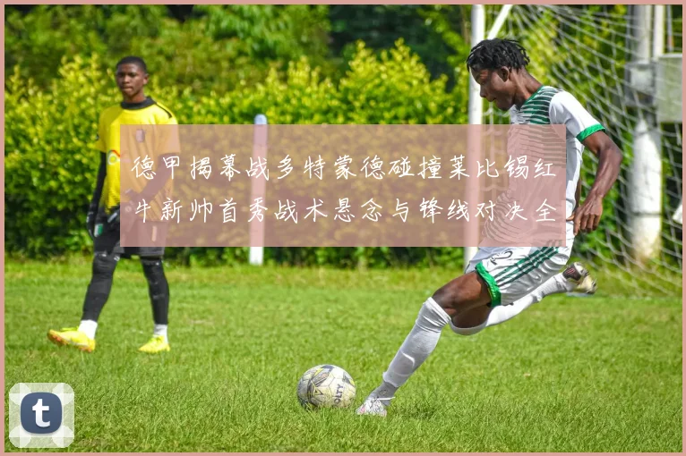 德甲揭幕战多特蒙德碰撞莱比锡红牛新帅首秀战术悬念与锋线对决全解析